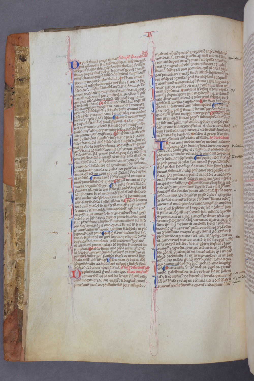 Folio 8 verso